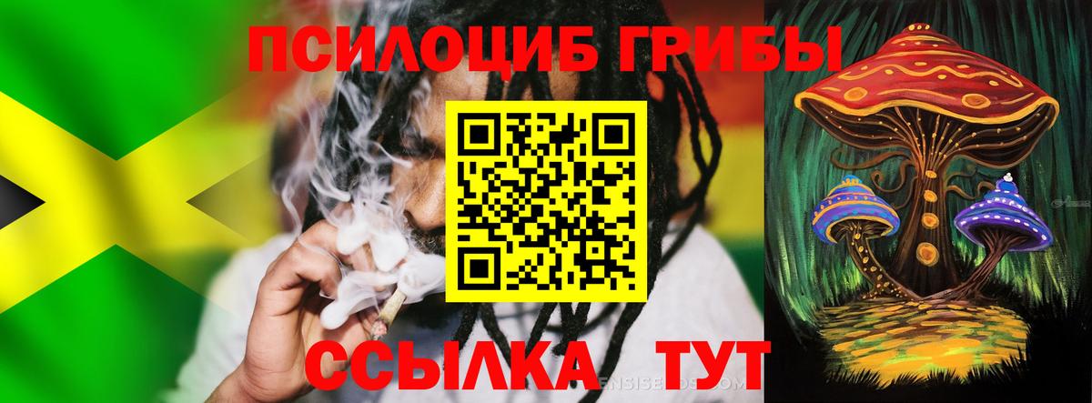 Галлюциногенные грибы GOLDEN TEACHER Новокубанск