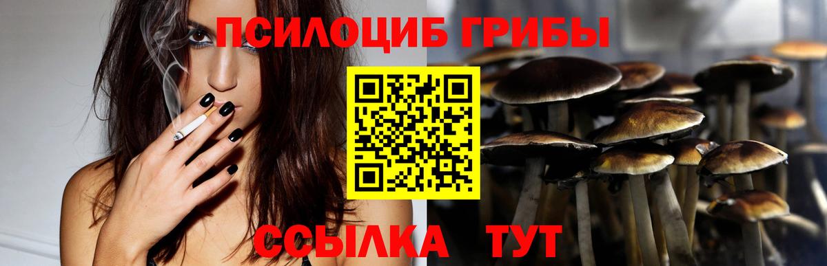 Галлюциногенные грибы прущие грибы  наркотики  Новокубанск  Вход с VPN 